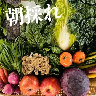 【朝採れ】よりどり野菜 と 果物 詰め合わせ セット 無農薬 栽培